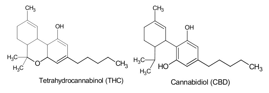 CBD & THC - Which Medical Marijuana Is Right For You