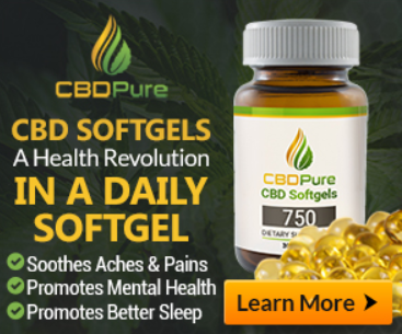 CBD Oil and endocannabionoids