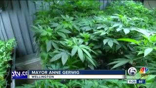 Wellington, FL Says Yes to Medical Marijuana Dispensaries