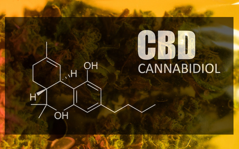 high cbd marijuana strain for seizures