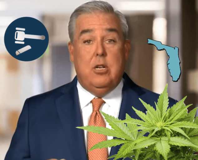 John Morgan, Florida Marijuana Lawyer