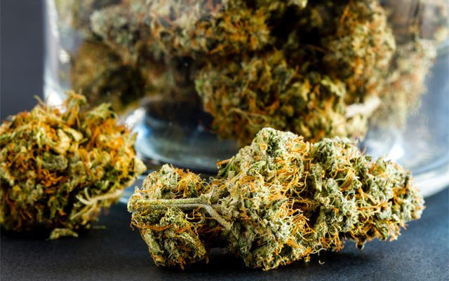 Medical Marijuana "Smoking Ban" Lawsuit Heard In Tallahassee