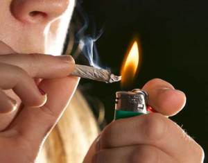 Florida Lawsuit Senate Bill 726 Filed To Legalize Smoking Marijuana Flower