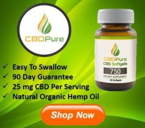 CBD for Pain - CBDPure Hemp oil