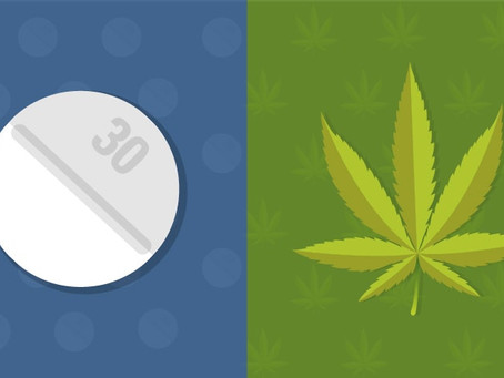 How Medical Marijuana Can Help Treat Opioid Addiction